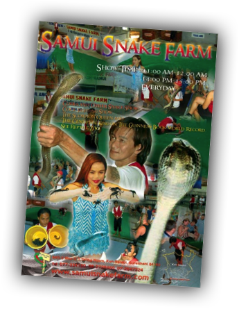 Koh Samui snakefarm